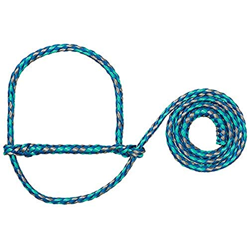 Weaver Leather Unisex-Erwachsene Schafhalfter aus Poly-Seil, Blau/Minzgrün/Grau, Einheitsgröße von Weaver Leather