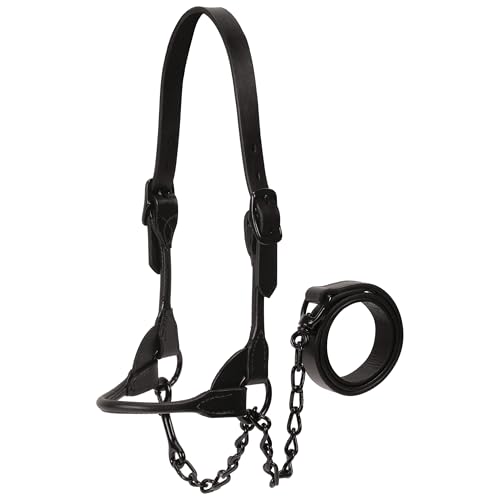 Weaver Leather Livestock Black Magic Show Halfter groß von Weaver Leather