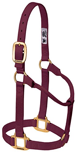 Weaver Leather Original Non-Adjustable Nylon Horse Halter, Average, Burgundy von Weaver Leather