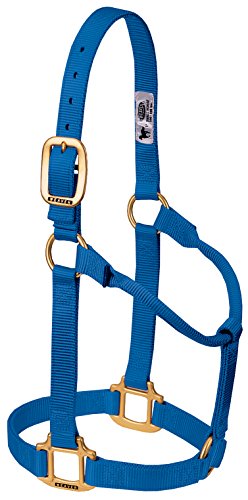 Weaver Leather Original Non-Adjustable Nylon Horse Halter, Blue, Yearling von Weaver Leather