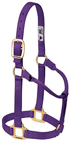 Weaver Leather Original Non-Adjustable Nylon Horse Halter, Small, Purple von Weaver Leather