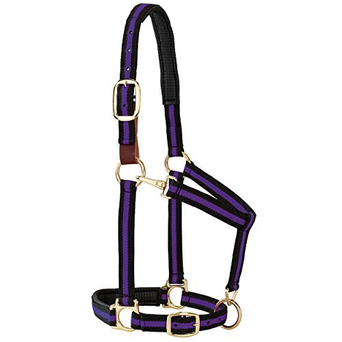 Weaver Leather Padded Breakaway Adjustable Chin and Throat Snap Halter, 1" Average Horse or Yearling Draft, Purple Striped von Weaver Leather