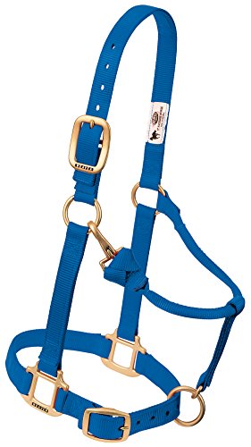 Weaver Leather TRV154691 2,5 cm LG Blu Snap Halter, Leder, blau, Large Horse von Weaver Leather