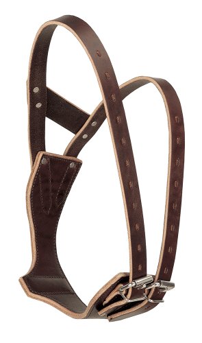 Weaver Leder Wunder Halsband in Display Box, Havana, S von Weaver Leather