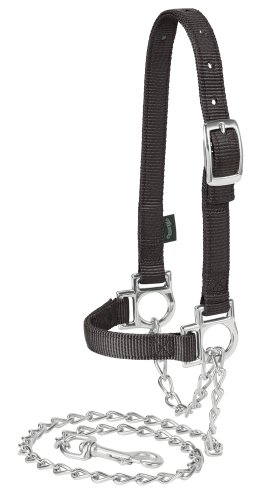 Weaver Schafhalfter aus Leder, Nylon, verstellbar, mit Kette, 35-8110-BK, Schwarz von Weaver Leather