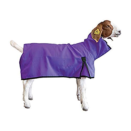 Weaver Tierdecke Ziegendecke, Unisex-Erwachsene, Goat Blanket, Large, Purple, violett, Large von Weaver Leather