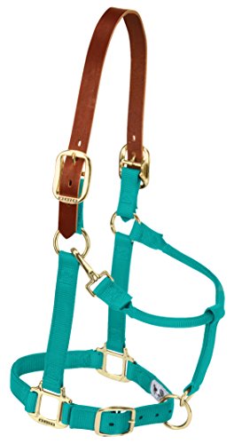 Weaver verstellbares Halfter für Kinn und Hals, Leder, n/a, smaragdgrün, Small Horse von Weaver Leather