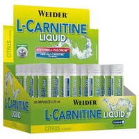 L-Carnitine Liquid 1.800 mg - 20x25ml - Pfirsich von Weider