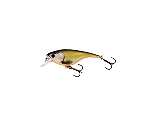 Westin BabyBite SR 6,5cm 12g Wobbler, Farbe:Official Roach von Westin