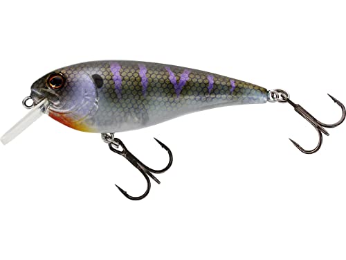 Westin Raw Bite 11cm 26g - Wobbler Floating, Farbe:Crazy Bluegill von Westin