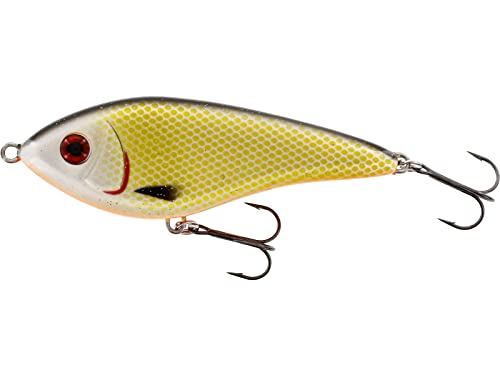 Westin Swim 6,5cm 9g - Jerkbait Suspending, Farbe:Official Roach von Westin