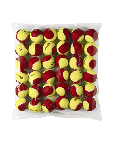 Wilson Tennisbälle Starter Red für Kinder, gelb/rot, 36er Pack, WRT13700B von Wilson