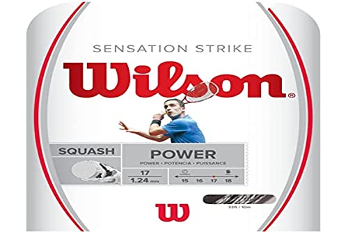 Wilson Unisex – Erwachsene Sensation Strike 17 Badminton String, White/Grey, Einheitsgröße EU von Wilson