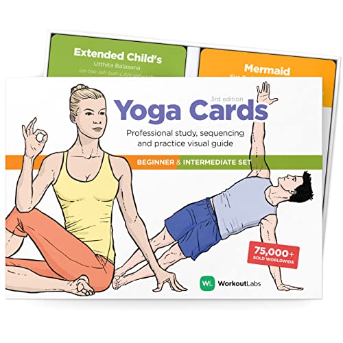 WorkoutLabs Plastik-Yoga-Karten mit Sanskrit-Sprache zum visuellen Lernen, zum Sequenzieren von Unterricht, zum Üben mit Haltungen, Atemübungen und Meditation (komplettes Spiel) (Englisch) von WorkoutLabs