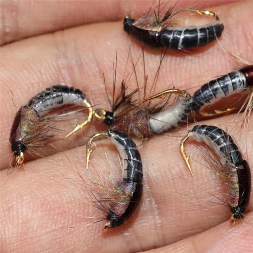 6 Stück braune realistische Nymphe zum Forellenangeln, künstliche Insektenköder, Angelausrüstung, Angeln, weiche Kunststoffköder, Jagd- und Angelköder, Köder und Lockstoffe von Wpppan