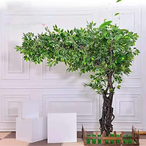 XIBANY Künstlicher Ficusbaum, große dekorative Zimmerpflanze für Hotels, Einkaufszentren und Hochzeiten, realistisches Design, Wunschbaum-Requisite A-1,5 x 1 m Feito NA China von XIBANY
