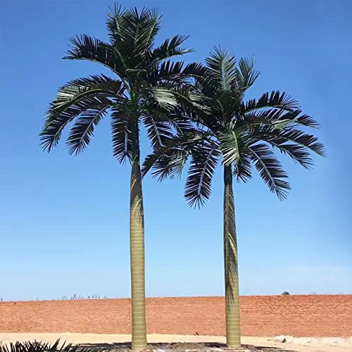 XIBANY Tropische Palme, künstlicher Pflanzenbaum mit Standstamm, künstliche Palmen für den Außenbereich, künstliche Palme für den Garten, Palmendekoration, 2 m + 3 m Feito NA China von XIBANY