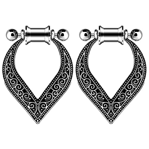 XINHE 2 STK Chirurgische Stahlohrringe Messgeräte Tunnel Ohrstöpsel-Kit Dangle Ear Ohrplugs Stretching-Kit Piercing Ohr Plug 4Mm - 30Mm,A1,20mm von XINHE