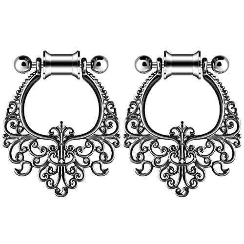 XINHE 2 STK Chirurgische Stahlohrringe Messgeräte Tunnel Ohrstöpsel-Kit Dangle Ear Ohrplugs Stretching-Kit Piercing Ohr Plug 4Mm - 30Mm,C2,12mm von XINHE