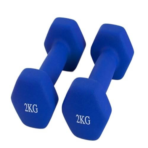XWJLAILE Arm Slimming Fitness: Kleine Hanteln für das Brust- und Heim-Yoga-Training von Frauen - ideal für den Muskelaufbau von MännernBlue8kg von XWJLAILE