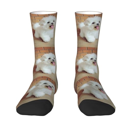 YANDM Malteser Hund, Crew-Socken, Kompressionssocken, lässige, neuartige Sportsocken für Unisex von YANDM