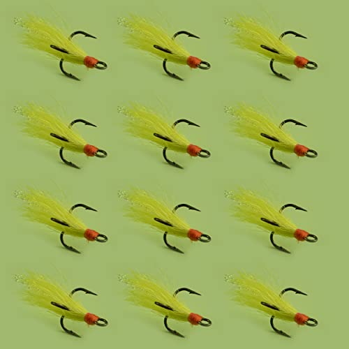YAZHIDA Fliegenfischen-Fliegen-Set, Trockenfliegen, Nassfliegen, 12 Stück (Salzwasserfliegen) von YAZHIDA