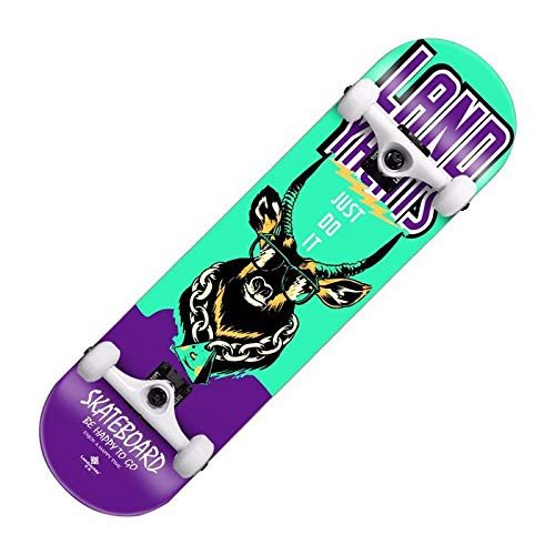 Skateboard für Kinder, Skateboard-Deck für Erwachsene, 30 x 8 Zoll komplette Skateboards, Ahorn-Anfänger-Skateboard von YDAWRY