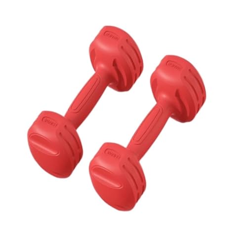Hanteln Fitness-Kleinhanteln For Männer Und Frauen, Damenhanteln For Armmuskeltraining, Heimfitnessgeräte Hanteln Set (Color : Red, Size : 10KG) von YEPENG