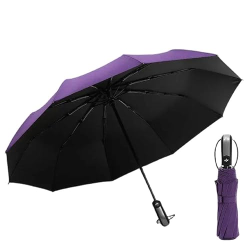 YJHLY Regenschirm Doppelknochen Große Regenschirm Männer Womens Windproof Kompakt-10K Normal Purple von YJHLY