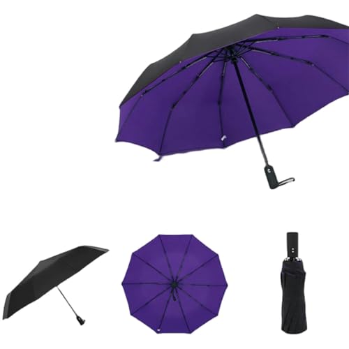YJHLY Regenschirm Windschutz Doppelte Schicht Vollautomatisch Resistenter Regenschirm-Purple von YJHLY