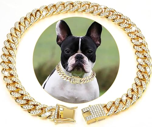 YTLT Roségold/Gold-Hundehalsband,Katzenhalsband, Haustier Halsbänder, Silberne Hundekette, kubanische Gliederkette, Halsband mit Metallschnalle für Kleine Mittelgroße Hunde, Kat,L,Gold von YTLT