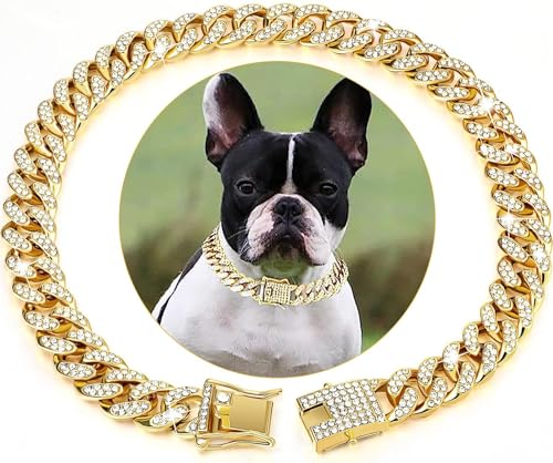 YTLT Roségold/Gold-Hundehalsband,Katzenhalsband, Haustier Halsbänder, Silberne Hundekette, kubanische Gliederkette, Halsband mit Metallschnalle für Kleine Mittelgroße Hunde, Kat,XS,Gold von YTLT
