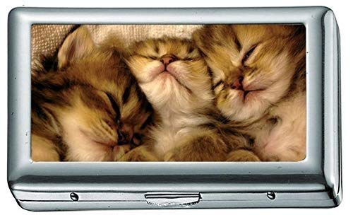 Katzen Tiere Schlafen Katzenartige Kätzchen Haustiere Zigarettenetui / -schachtel Visitenkartenetui Edelstahlgehäuse Silber Metall Brieftasche Schutz von Yanteng