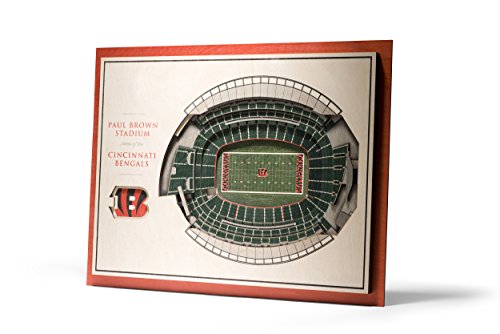 YouTheFan NFL 5-Layer 17x13 StadiumViews 3D Wandbild Cincinnati Bengals von YouTheFan