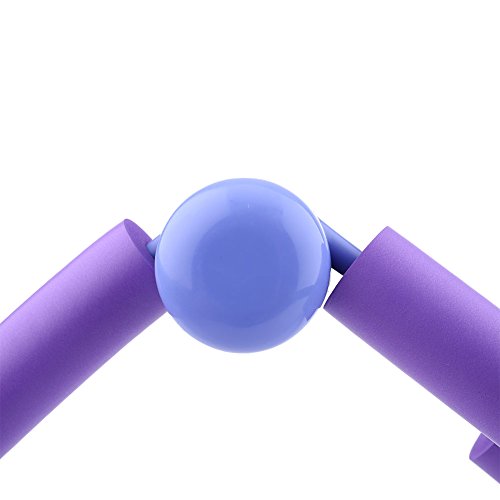 Home -Fitnessmaschine für und Cardio -Workouts (Rosenrot) (PURPLE) von ZDETGU