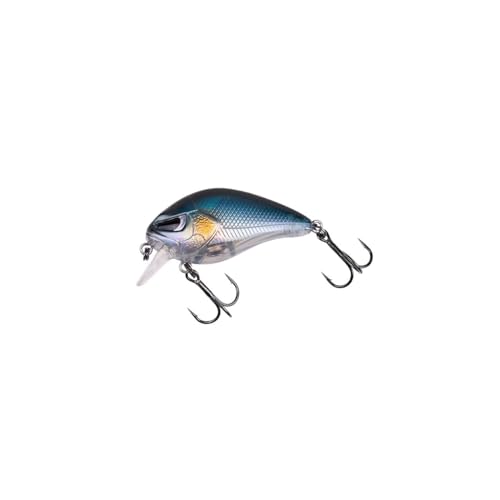 ZECK Wobbler/Kleiner Crankbait für Barsch, Forelle & Döbel - Danny 2.0 | 4,5 cm | 0,5 m F - Baitfish von ZECK