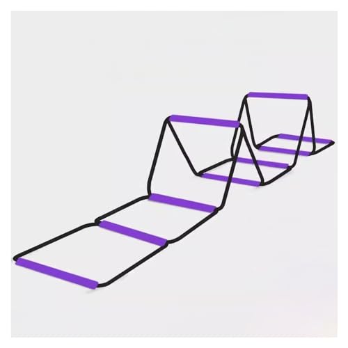 Leichte Geschwindigkeitstrainingshürde, Hindernistrainingsübung, multifunktionale bunte tragbare Bahnhürde (Color : Purple, Size : 10.08m/33.07ft) von ZERVA