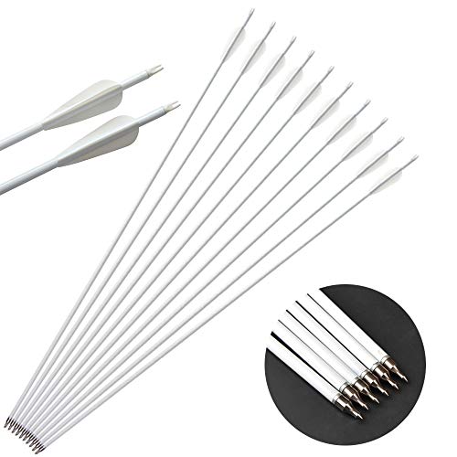 ZSHJG 12pcs Carbonpfeile für Bogenschießen 32 Zoll Jagdpfeile Spine 500 Bogenpfeile mit Pfeilköcher für Compound und Recurve Bogen Pfeile für Bogensport (12Pcs Pfeile) von ZSHJG