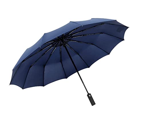ZUOZUIYQ Winddichter Regenschirm, starker Regenschirm, Regenschirm, Winddicht, faltbar, für Männer und Frauen, 12 Rippen, kompakter Reiseschirm mit Sonnenschutz, UV-Schutz, Regenschirme für Regen von ZUOZUIYQ