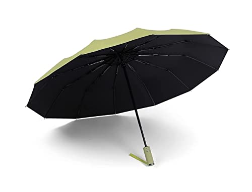 ZUOZUIYQ Winddichter Regenschirm, winddichter Reise-Regenschirm, ergonomischer Griff, tragbar, kompakt, faltbar, leicht, für Herren und Damen, Reise-Regenschirm für Herren und Damen (blau: grün) von ZUOZUIYQ