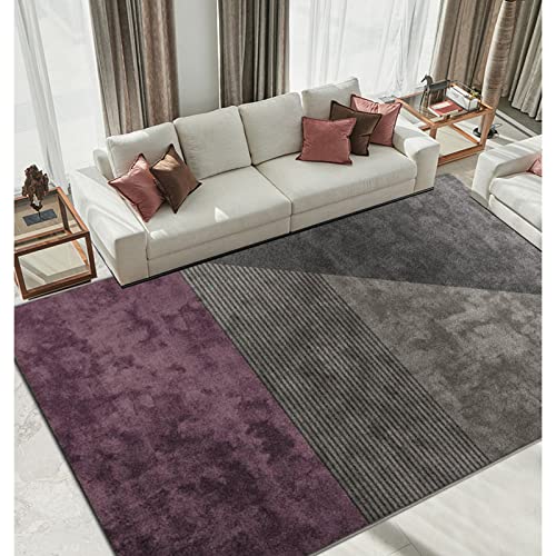 Teppiche mit einzigartigen geometrischen Mustern, Schlafzimmerteppich, zotteliger Wohnzimmerteppich, rutschfeste Teppiche, weiche, moderne Plüschteppiche, geeignet für die Inneneinrichtung (2 m × 2,9 von ZURBAQD