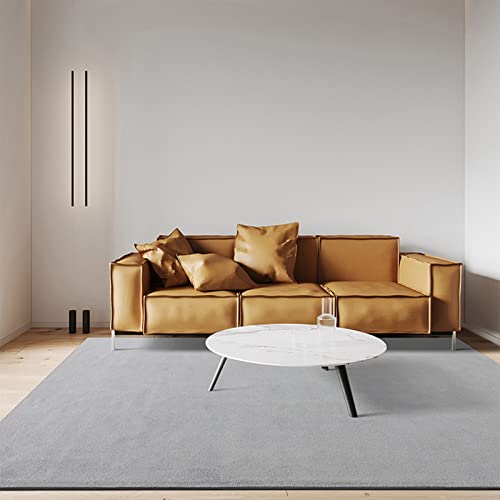 ZURBAQD Teppich im modernen Stil, graue Teppiche für Wohnzimmer, extra große Größe, weicher Kurzflor-Teppich, fusselfrei (160 cm x 230 cm (5,5 Fuß x 7,5 Fuß)) (1600 mm x 2300 mm) Warm as Ever von ZURBAQD