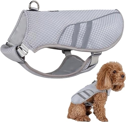 ZWESKUX Coole Jacke für Hunde | Atmungsaktive Kühlweste für Haustiere, Kühlgeschirr für Hunde, Kühlshirt für kleine und mittelgroße Hunde,M von ZWESKUX