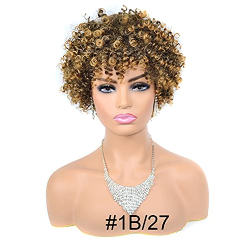 ZYC Kurze lockige synthetische Blonde Perücken für Schwarze Frauen afrikanische Frisuren natürliche Schwarze Perücke,B von ZYC