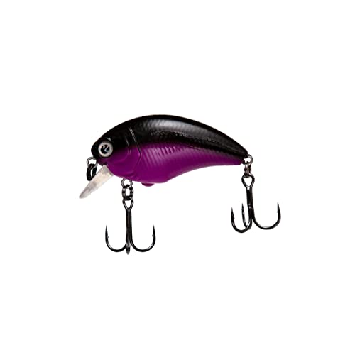 Zeck Wobbler - Danny 4,5cm | 0,5 m F - Black Purple von ZECK