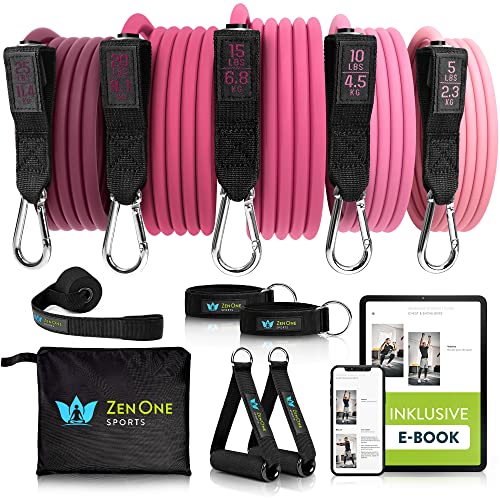 ZenOne Sports Resistance Fitness Bands - robuste Fitnessbänder - 5 Widerstandsbänder - Home Workout Expander-Set - Sport-Gummiband von ZenOne Sports