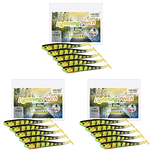 Zite Fishing Gummifische Zander Set – Inzite Shad 12cm Diverse Farben - 15STK Fängige Gummiköder Zanderangeln - Softbait Angelköder UV-Aktiv (Lightning Perch) von Zite