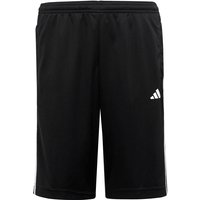 adidas Train Essentials AEROREADY Regular-Fit Shorts Kinder 095A - black/white 152 von adidas Sportswear