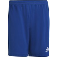 adidas Entrada 22 Fußball Shorts Herren AD8R - royblu L/T3 von adidas performance