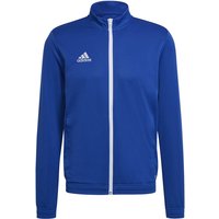 adidas Entrada 22 Trainingsjacke Herren royblu XS von adidas performance